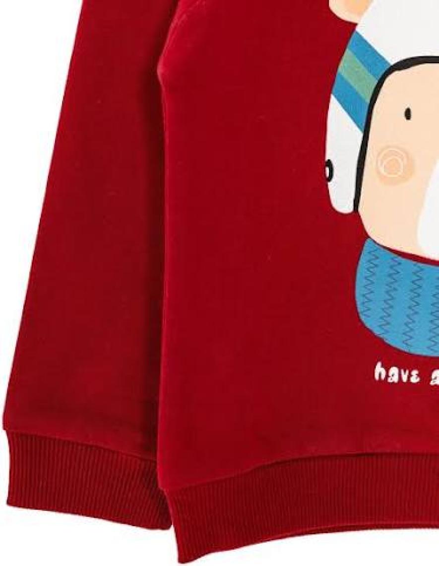 Hellobaby Basic Az Şardonlu Aslan Desenli Sweatshirt Erkek Bebek