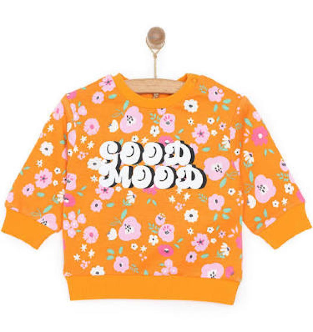 HelloBaby Basic Az Şardonlu Aslan Desenli Sweatshirt Kız Bebek