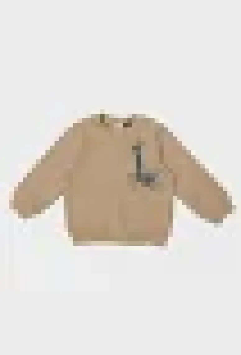 Gb Baby Layette Erkek Bebek Kahve Sweatshirt 23PFWBG1414
