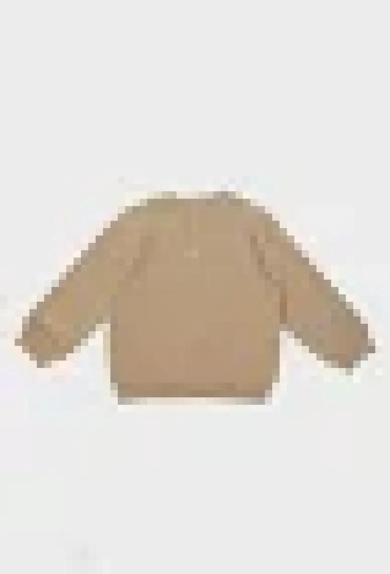 Gb Baby Layette Erkek Bebek Kahve Sweatshirt 23PFWBG1414