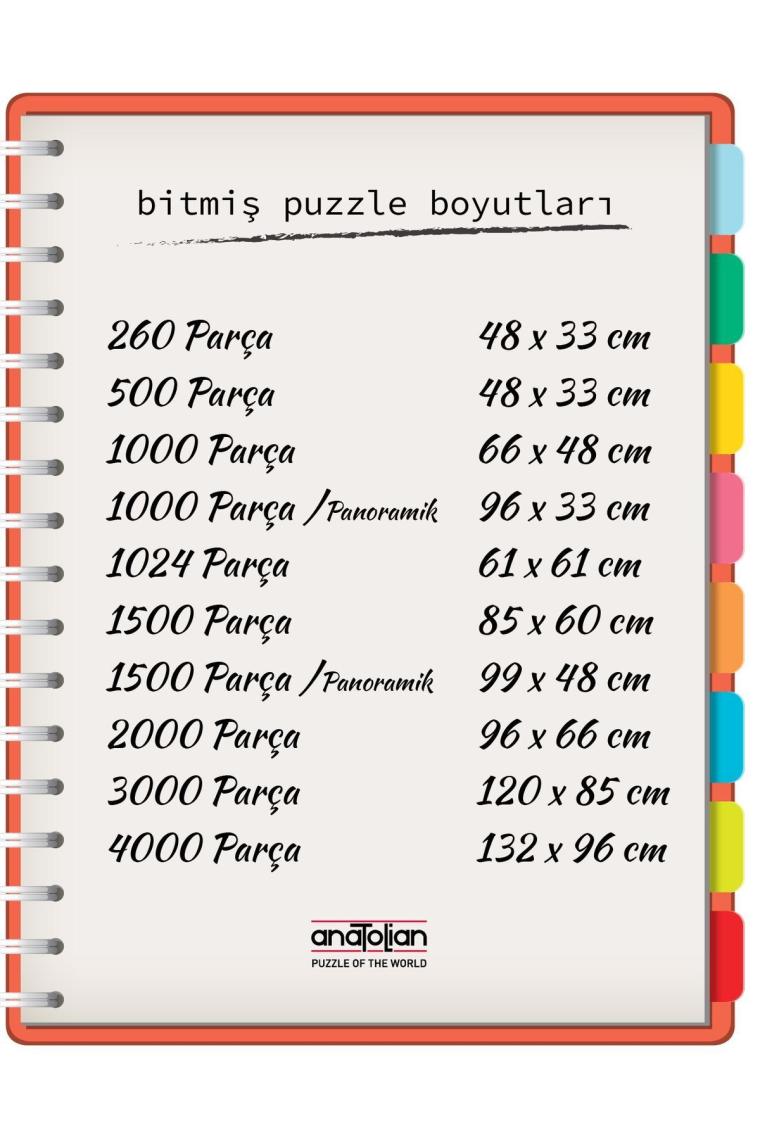 1000 Parçalık Puzzle / Aile Toplantısı - Kod:1030