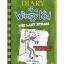 Diary Of Wimpy Kid - Dog Days Book 4