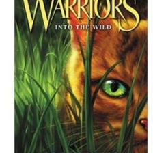 Warriors 1: Into The Wild