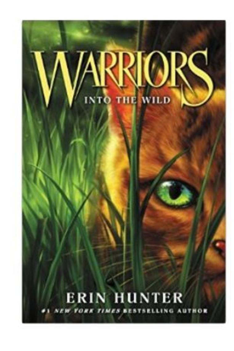 Warriors 1: Into The Wild