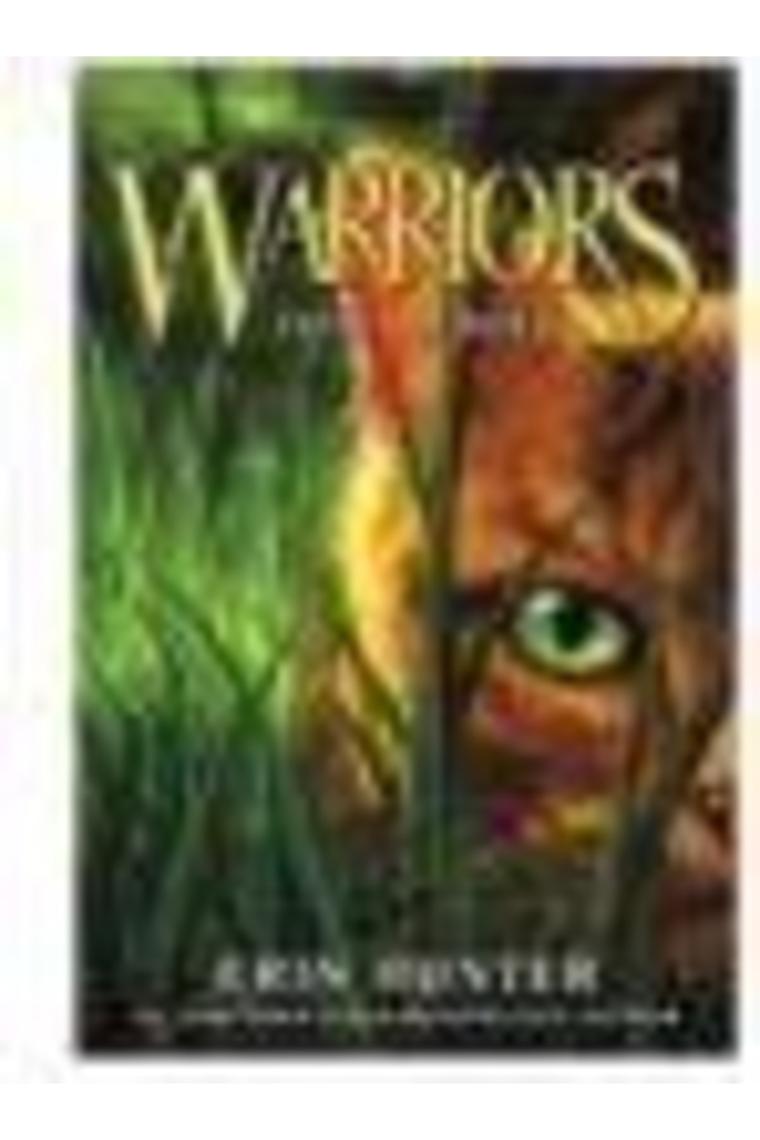 Warriors 1: Into The Wild