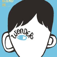 Wonder - R J Palacio