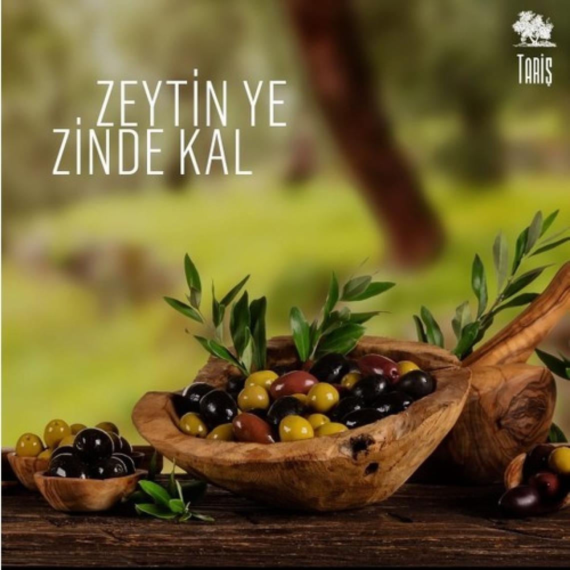 Tariş Zeytinyağı 5 lt Güney Ege Naturel Sızma