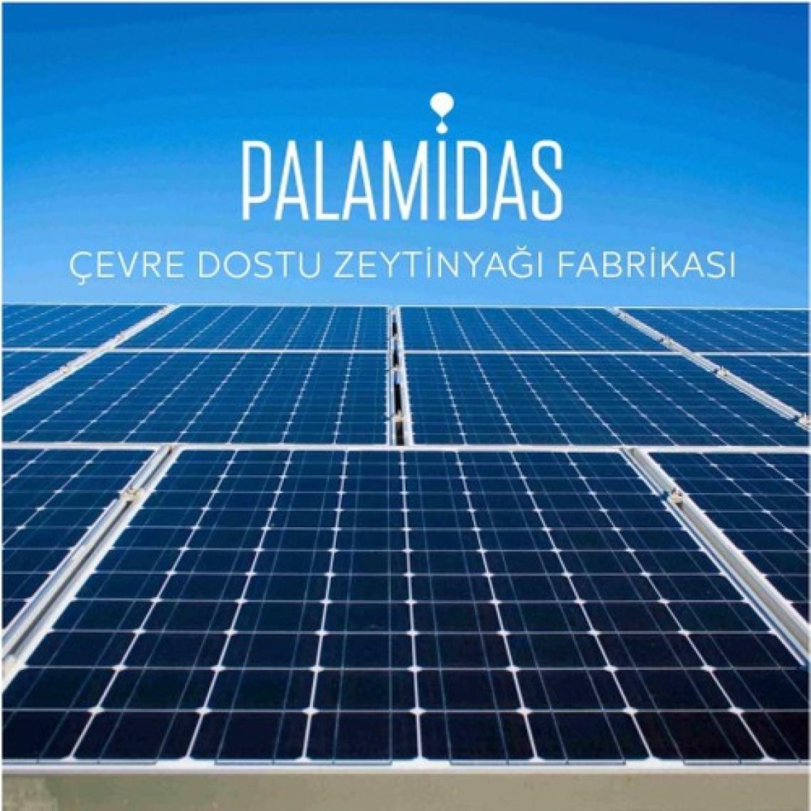 Yeni Hasat 5 L Soğuk Sıkım Nat Sızma Zeytinyağı 2022/23