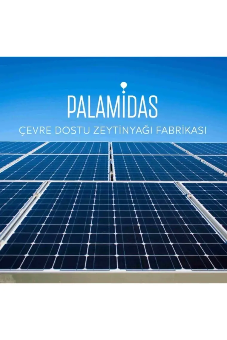 Palamidas 500 ml Blend Gourmet Selection Ödüllü Nat Sızma Zeytinyağı