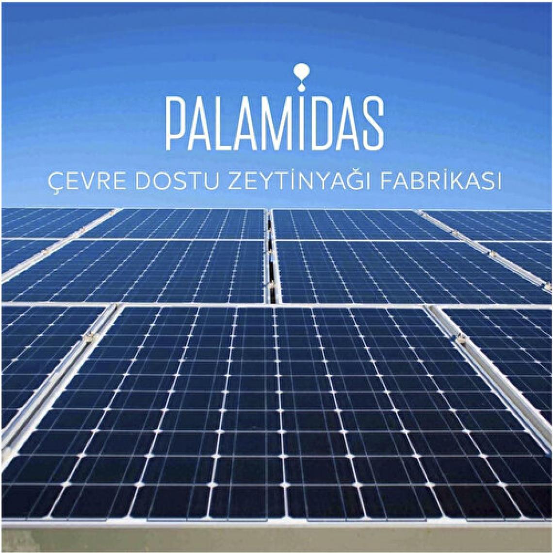 Palamidas Soğuk Sıkım Natürel Sızma Zeytinyağı 3 Lt