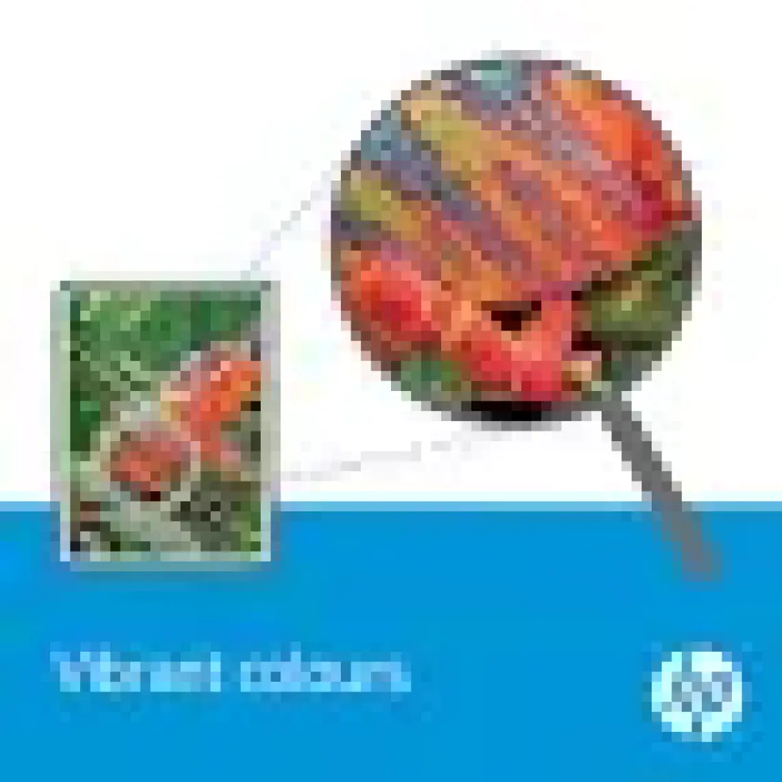HP Orijinal 205A Toner Siyah (Cf530A)