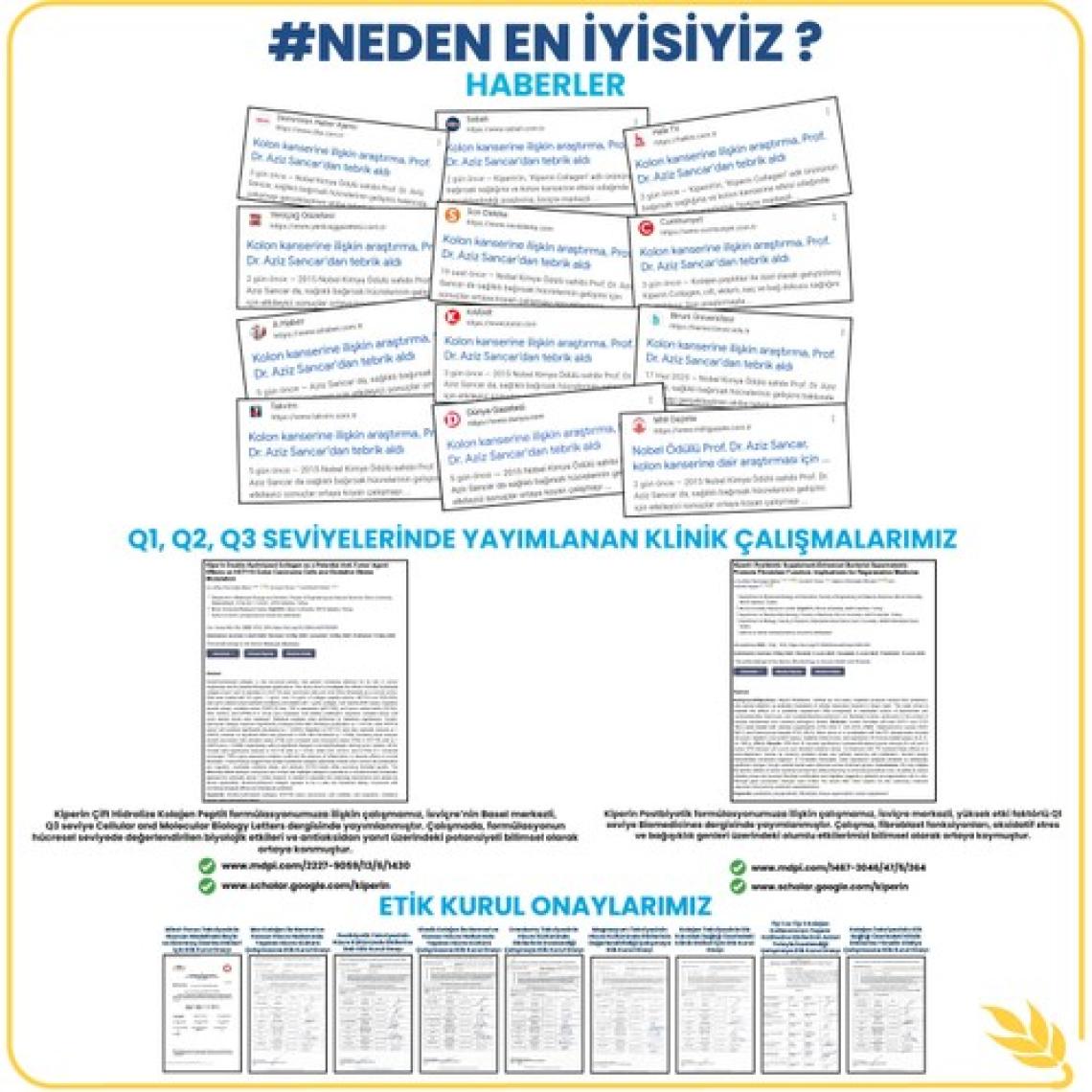 Kiperin Postbiyotik 210 Milyar Cfu Rhamnosus & Plantarum (21KAPSÜL & 700MG) | Akıllı Gıda Takviyesi