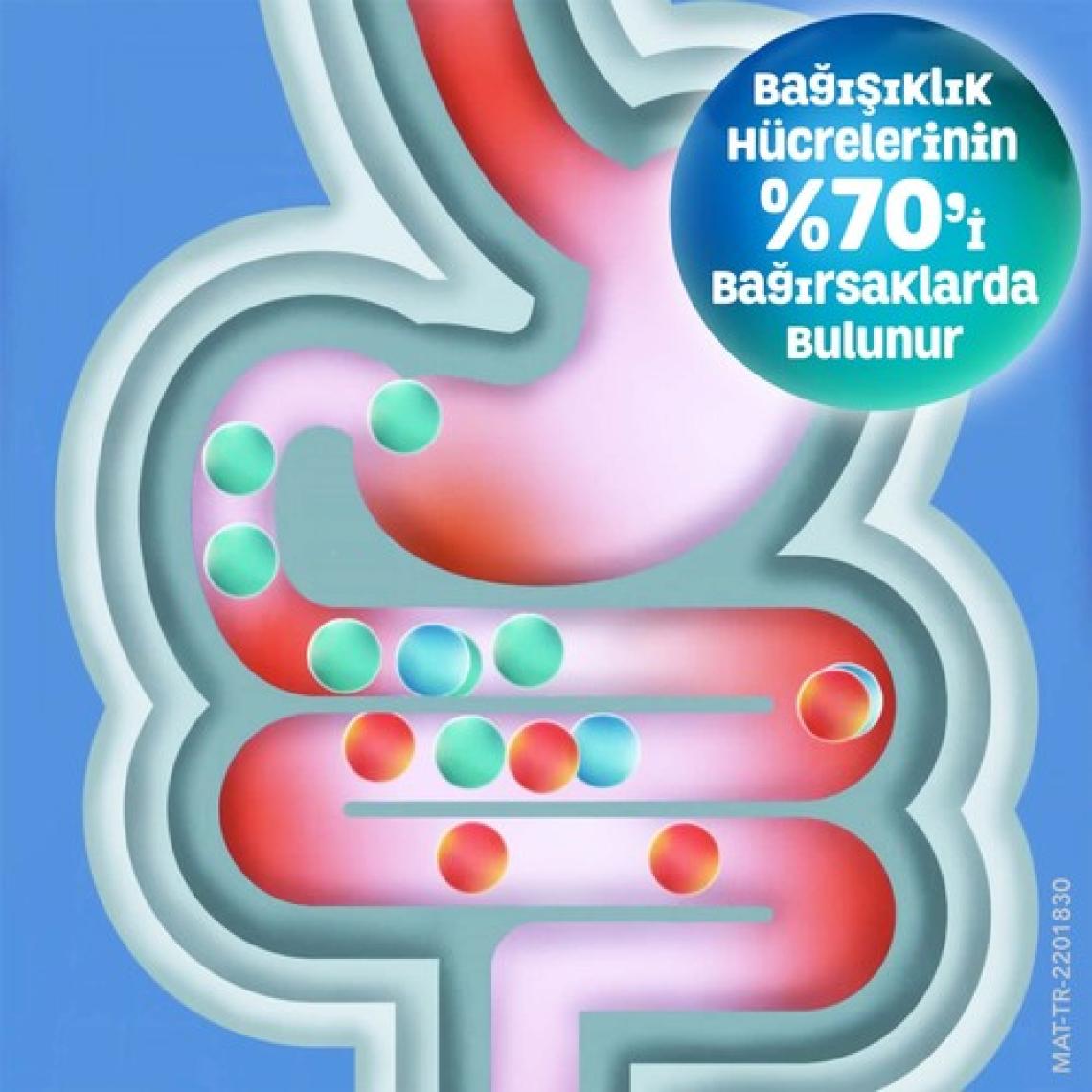 Enterogermina Yetişkin 5 ml 10 Flakon
