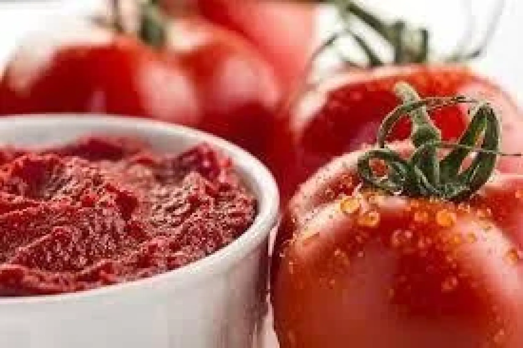Essen Organik Domates Salçası