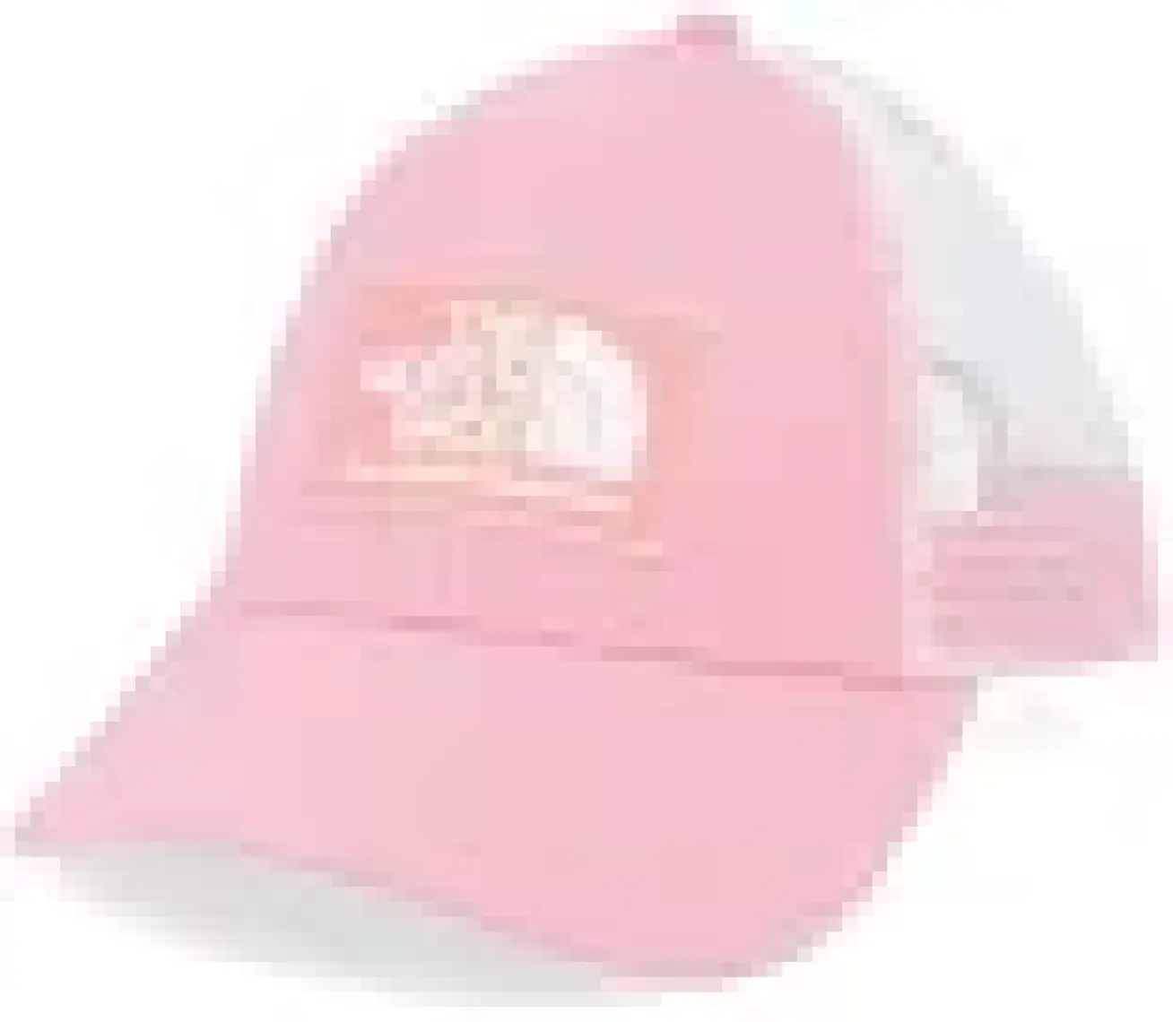 The Northface Mudder Trucker Şapka NF00CGW2HK41