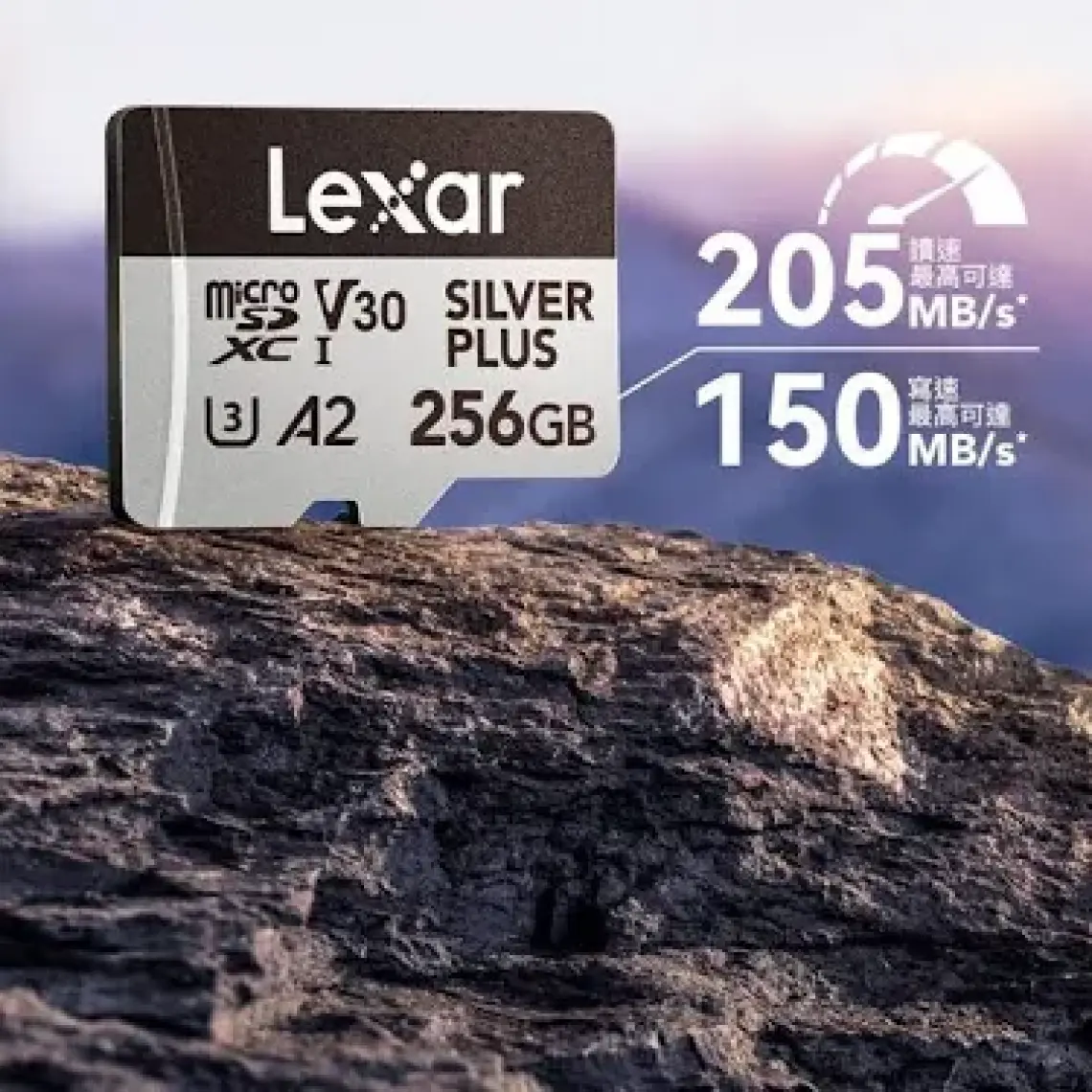 Lexar 256GB Silver Plus 205MB 4K V30 Uhsı Micro Sd Hafıza Kartı