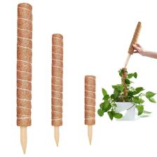 Bahçem Koko Sarmaşık Destek Çubuğu 3'lü Set