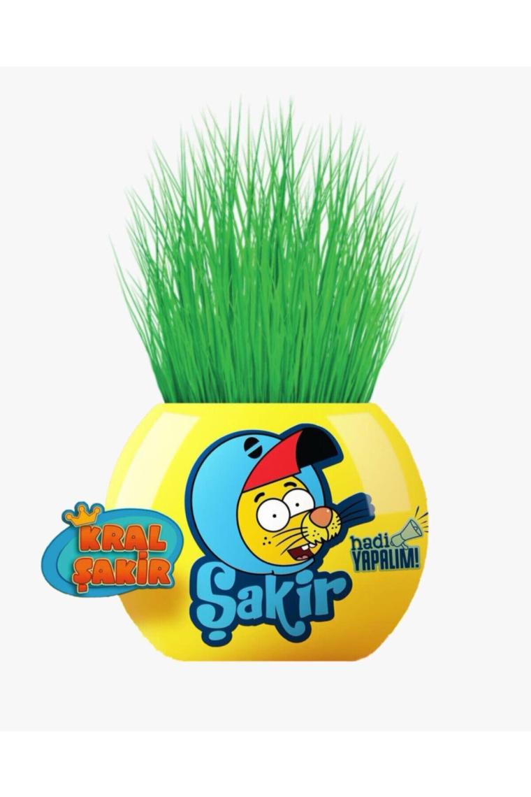 Grultu Çim Adam Figür Kral Şakir Şakir Hadi Yapalım, Cocopeat & Torflu Toprak, İngiliz Çimi, Kedi Otu KRS15