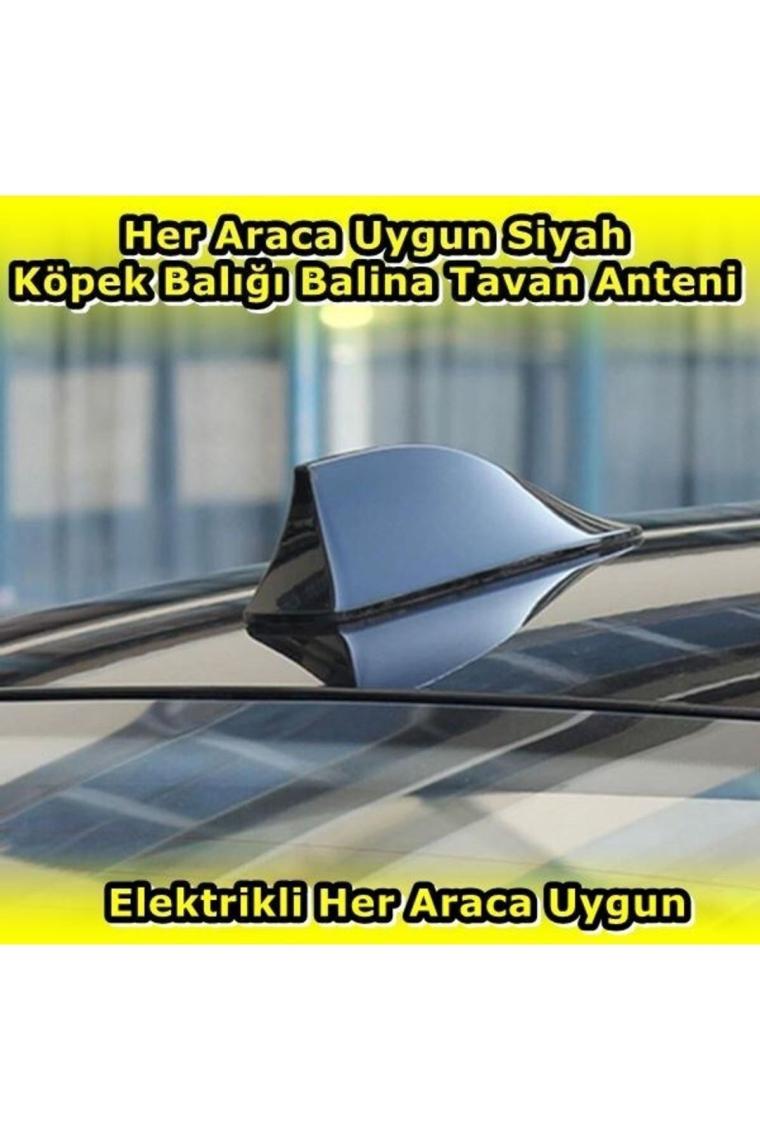 Nkt Group Elektrikli Her Araca Uygun Siyah Shark Köpek Balığı Balina Tavan Anteni E.m.