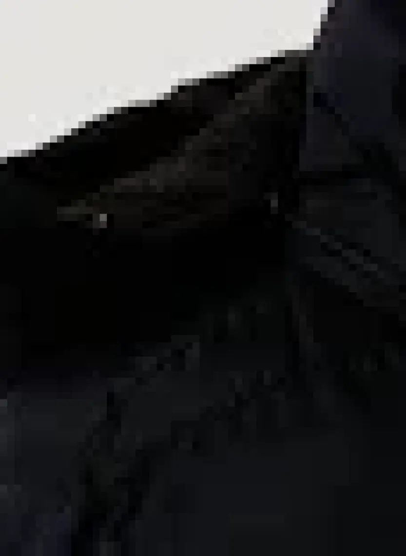 Lela İçi Peluş Astarlı Çıkarılabilir Kapüşonlu Şişme Mont Erkek Çocuk MONT 5763038