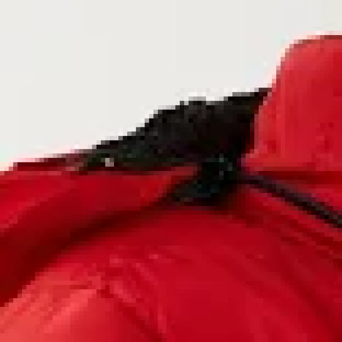 Lela Içi Peluş Astarlı Çıkarılabilir Kapüşonlu Şişme Mont Erkek Çocuk Mont 5763038