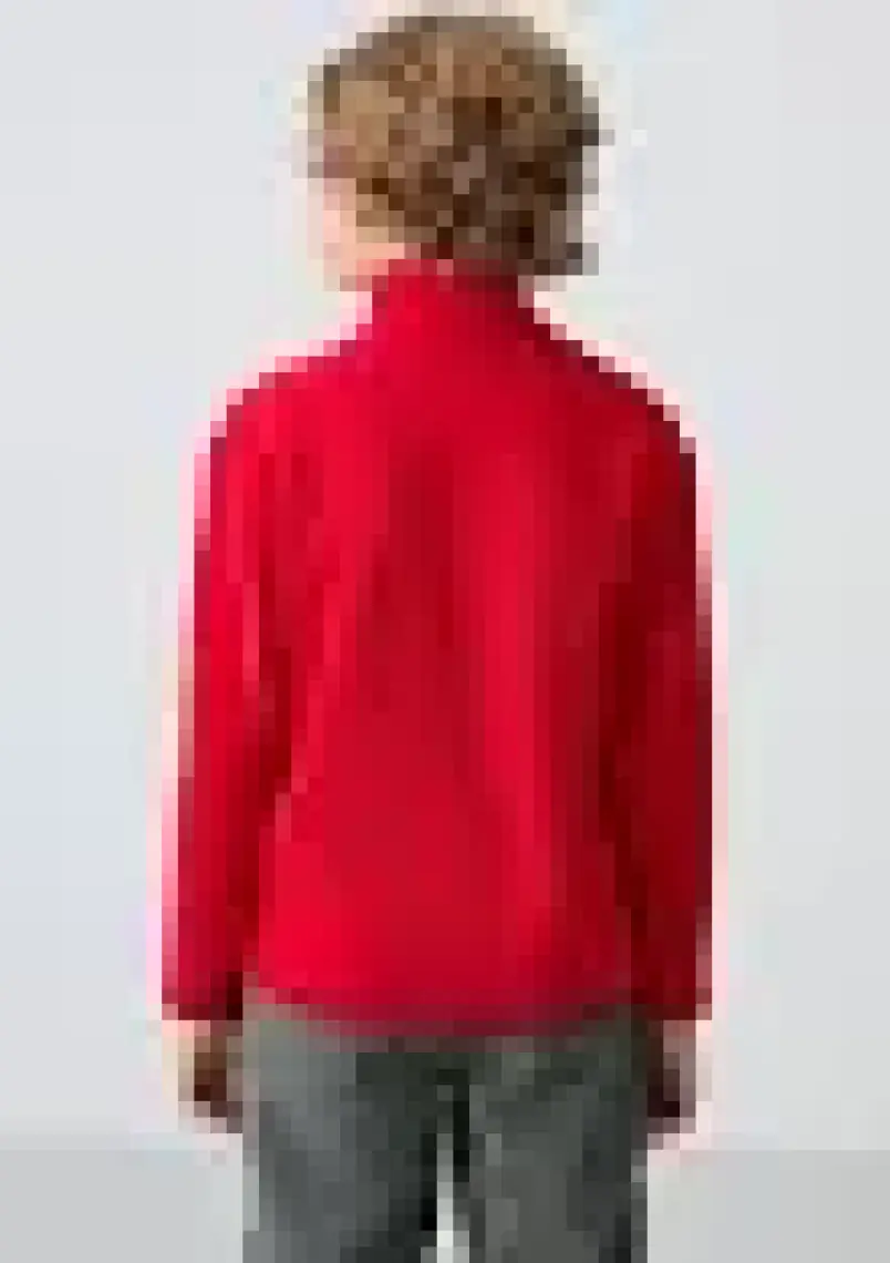 Erguvan Kalın Yumuşak Dokulu Standart Fit Nakışlı Polar Erkek Çocuk Sweatshirt - 11223