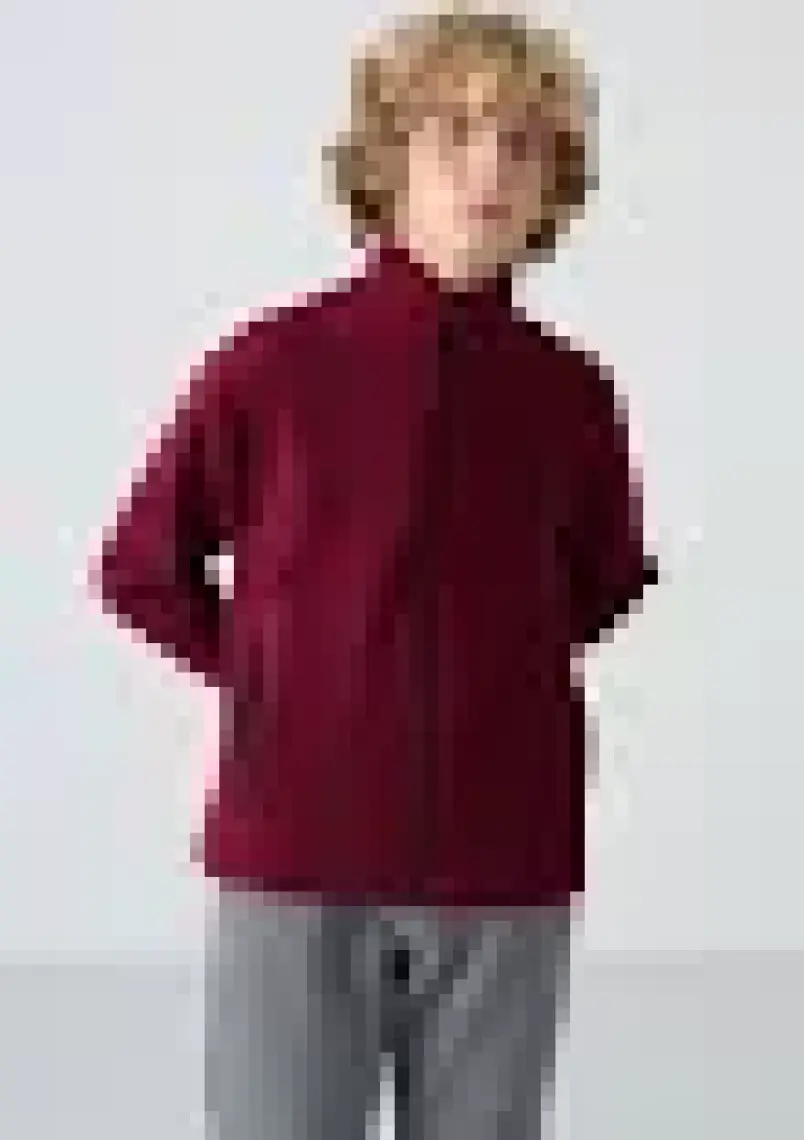 Erguvan Kalın Yumuşak Dokulu Standart Fit Nakışlı Polar Erkek Çocuk Sweatshirt - 11223