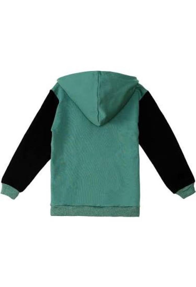 Denokids Obur Kapişonlu Erkek Çocuk Sweatshirt