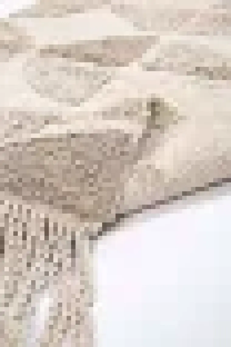 Irya Brook Tekli Banyo Paspası %100 Pamuk 70x110 Bej