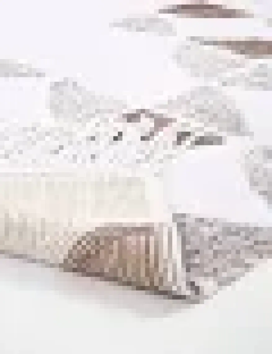 Irya Brook Tekli Banyo Paspası %100 Pamuk 70x110 Bej