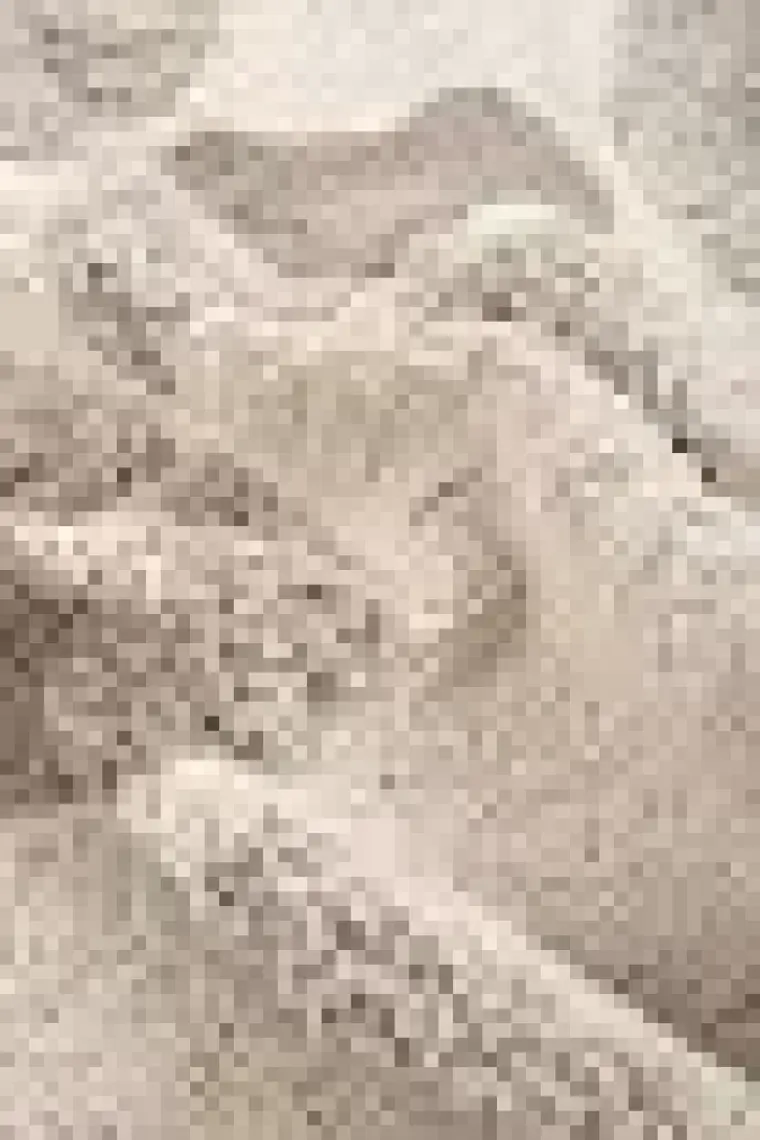 Irya Brook Tekli Banyo Paspası %100 Pamuk 70x110 Bej