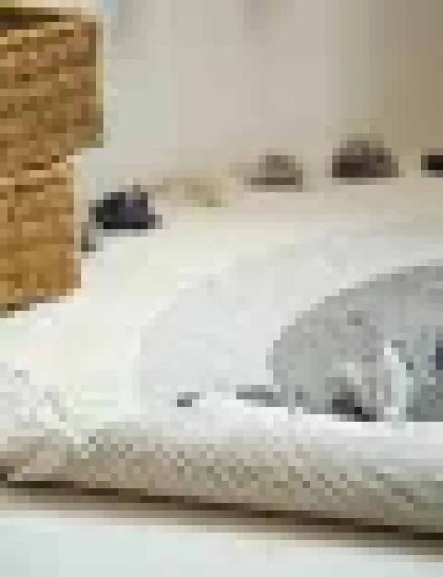 Irya Laura Yuvarlak Banyo Paspası %100 Pamuk 100x100 Ekru