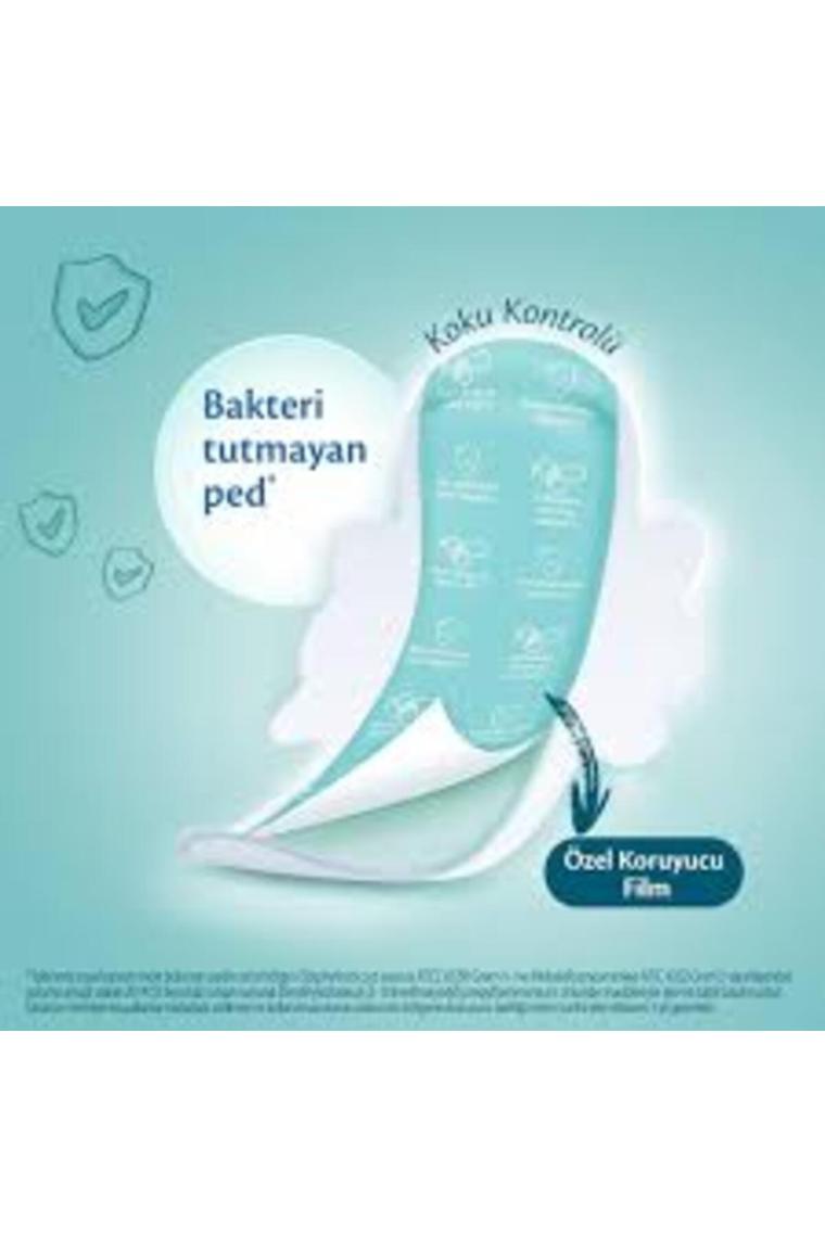 Molped Antıbakterıyel 24lu Normal