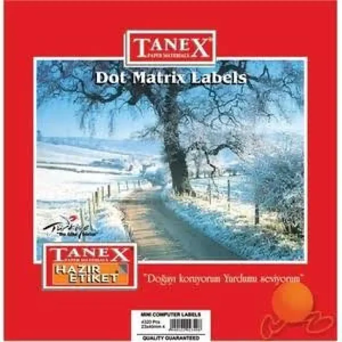 Tanex 23x40 mm Bilgisayar  Etiketi