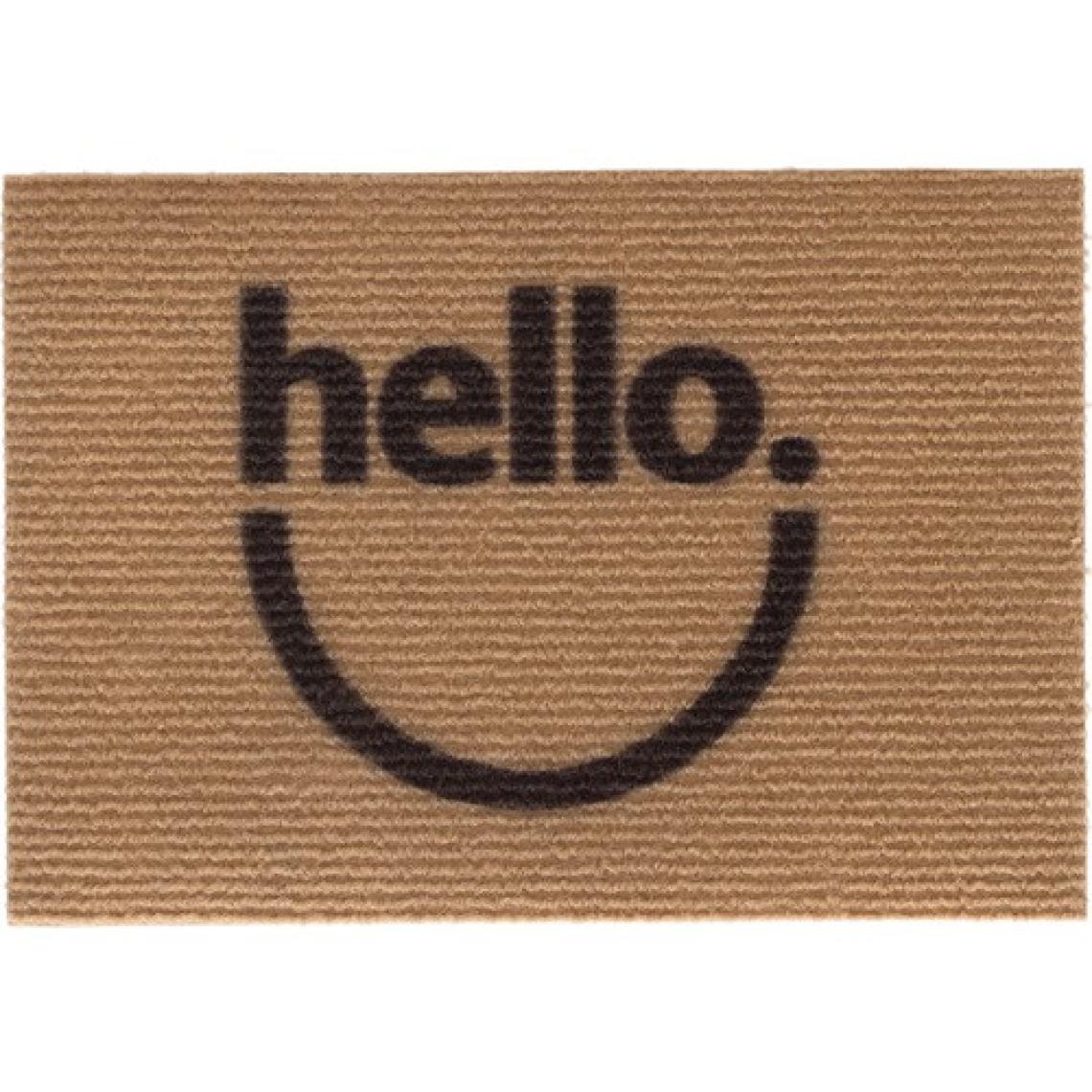 Coco Hello Koko Paspas Dış Kapı Paspası Kıl Kapı Önü Paspası 40x60 3671