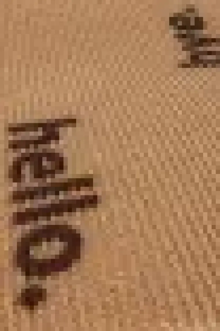 Coco Hello Bye Koko Paspas Dış Kapı Paspası Kıl Kapı Önü Paspası 40x60 3670