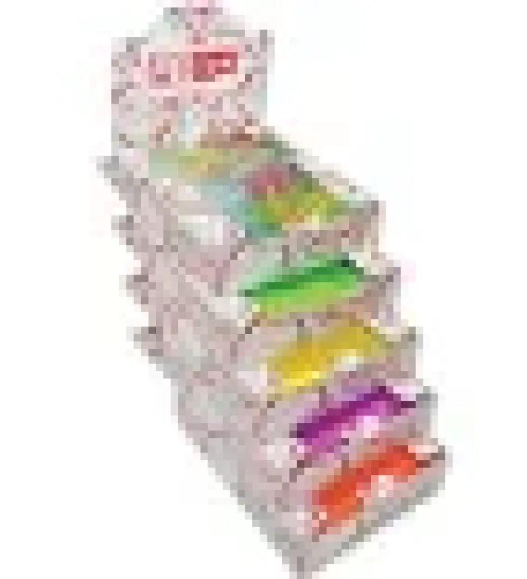 Abka Hazır Kitap Kabı Pembe - 5 Li