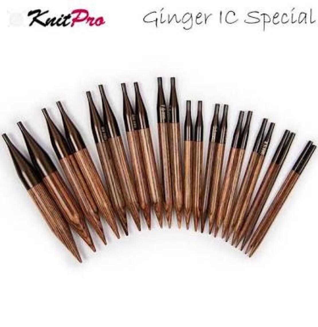 Balım Örgü Evi Knitpro Ginger Premium Çantalı Değiştirilebilir Misina 11’li Tam Set (Kısa)