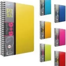 Gıpta Pixa Spiralli Seperatörlü PP Kapak Defter A4 160yp (4+4) Kareli Çizgili
