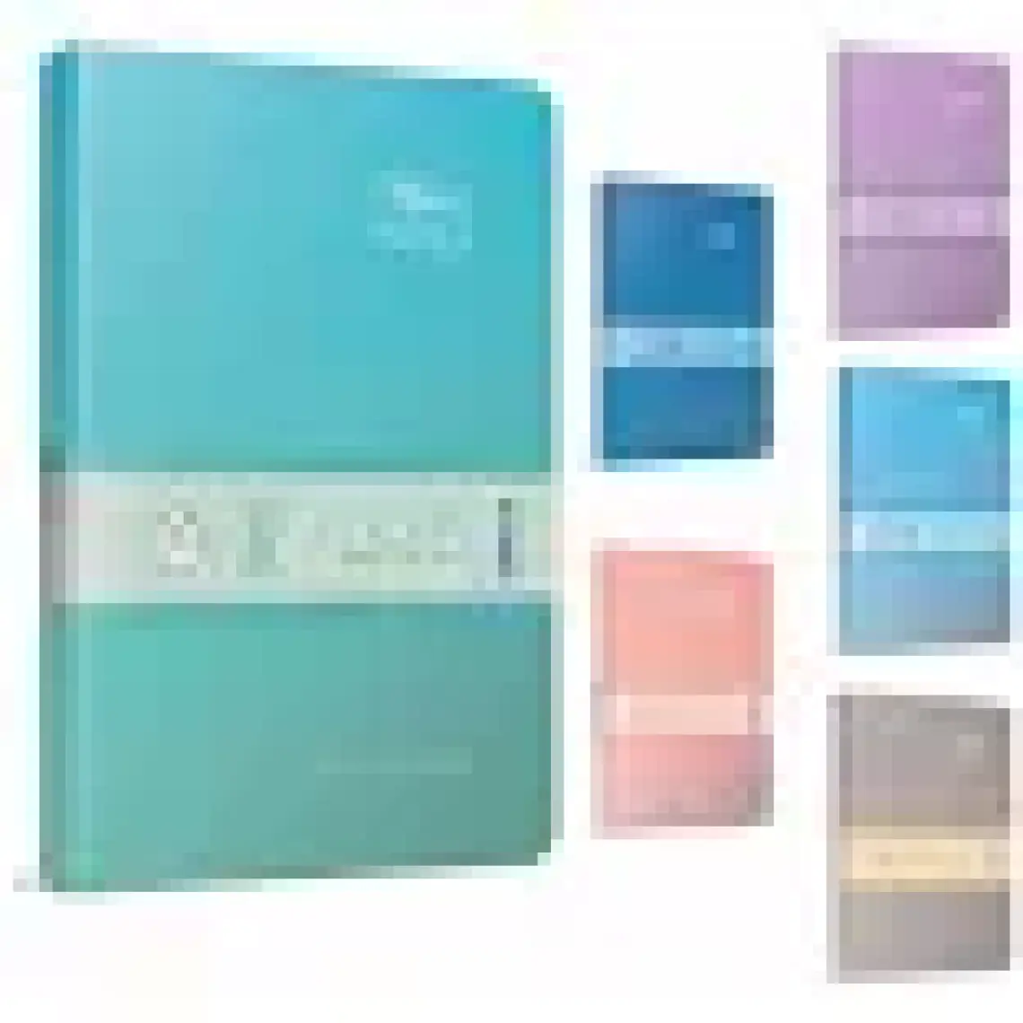 Gıpta The Book Pastel 20X28 296 Yaprak 4 Bölmeli Sert Kapak Defter