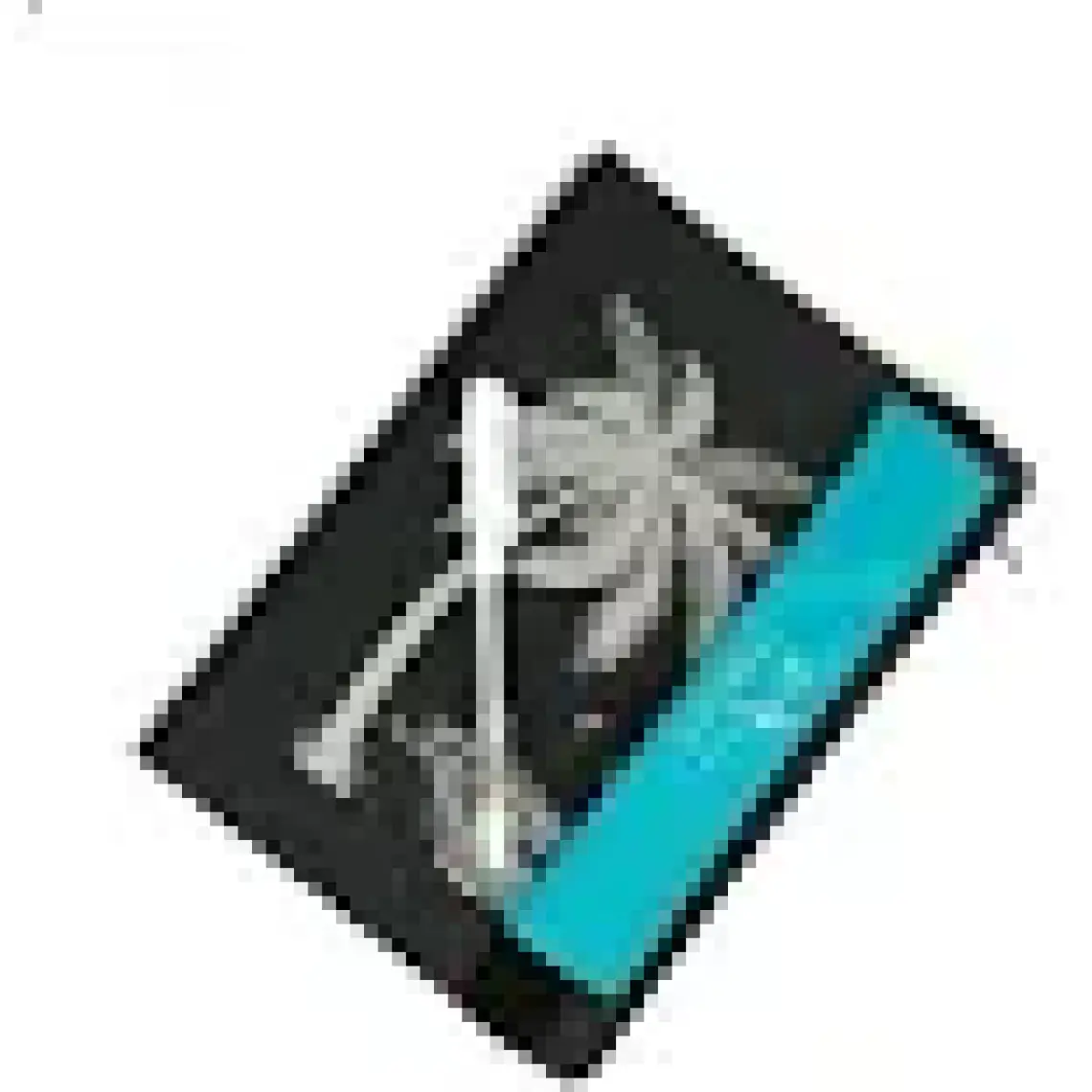 Lizy 17X24 Siyah Yapraklı Sketch  Defter 48Yp 120Gr