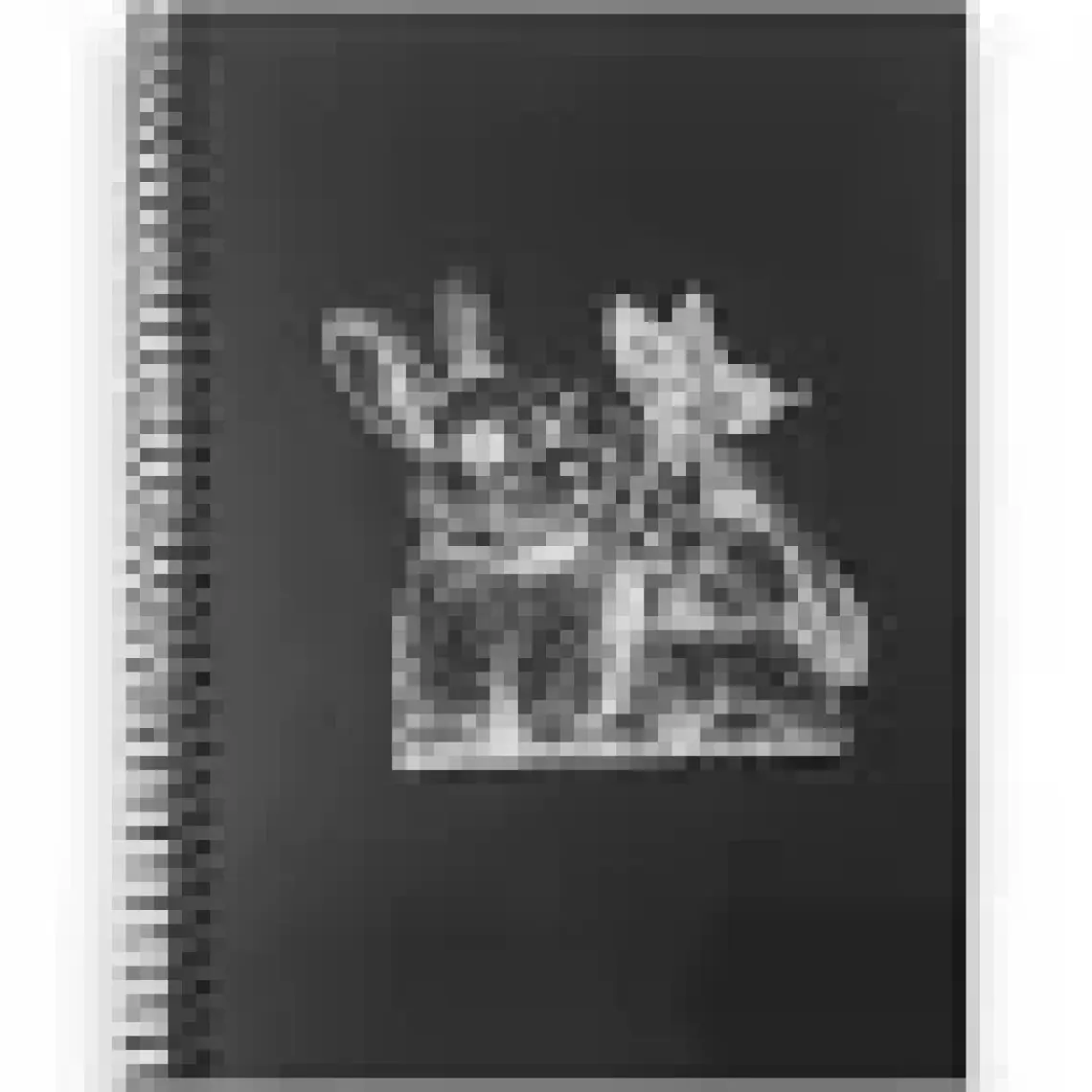 Lizy 17X24 Siyah Yapraklı Sketch  Defter 48Yp 120Gr