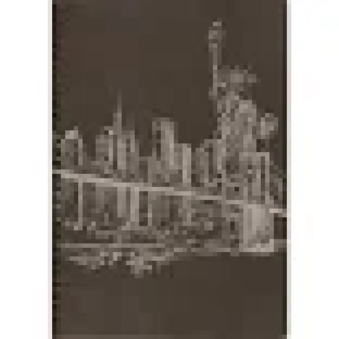 Lizy 17X24 Siyah Yapraklı Sketch  Defter 48Yp 120Gr