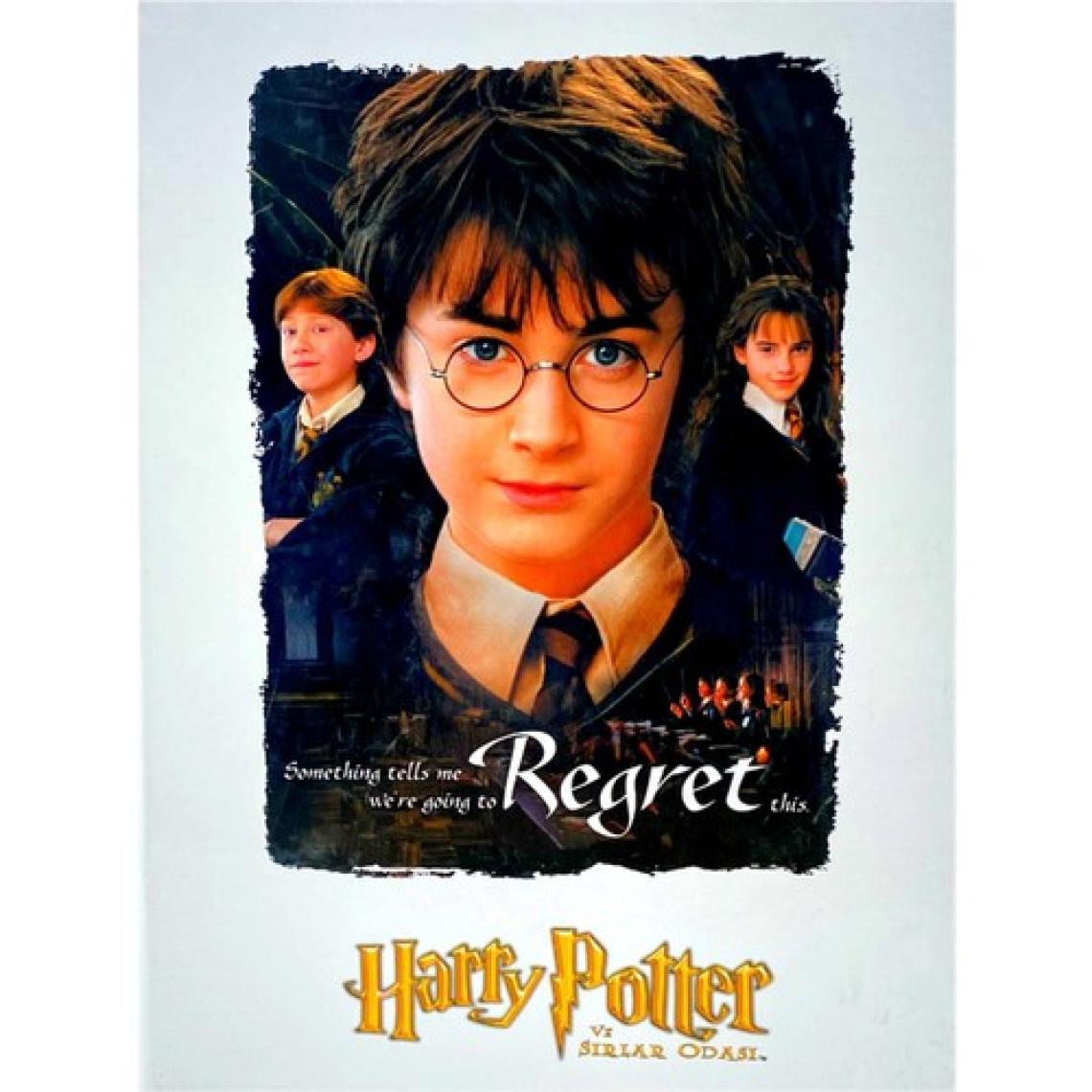 Umur Harry Potter Baskılı Öğrenci Klasörü 2 Halkalı