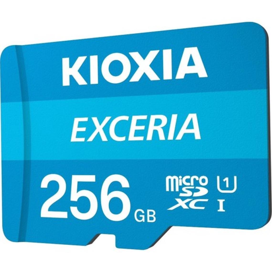 Kioxia 256GB Exceria Micro SDXC UHS-1 C10 100MB/sn Hafıza Kartı (LMEX1L256GG2)