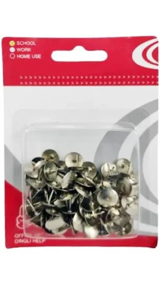 Linea Metal Renkli Raptiye 100'lü