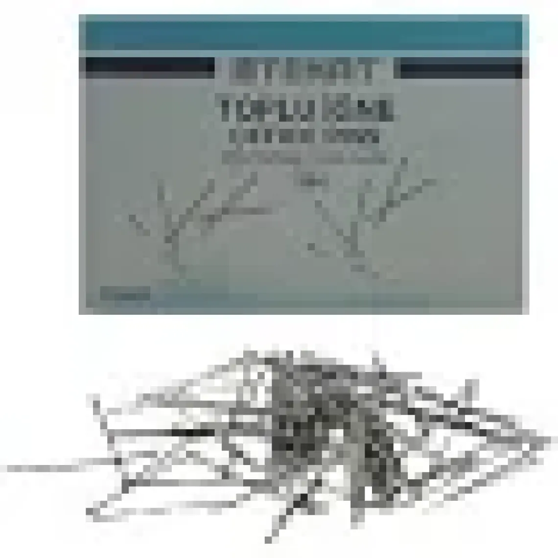 Temat 18043 Toplu İğne 28mm 20 gr