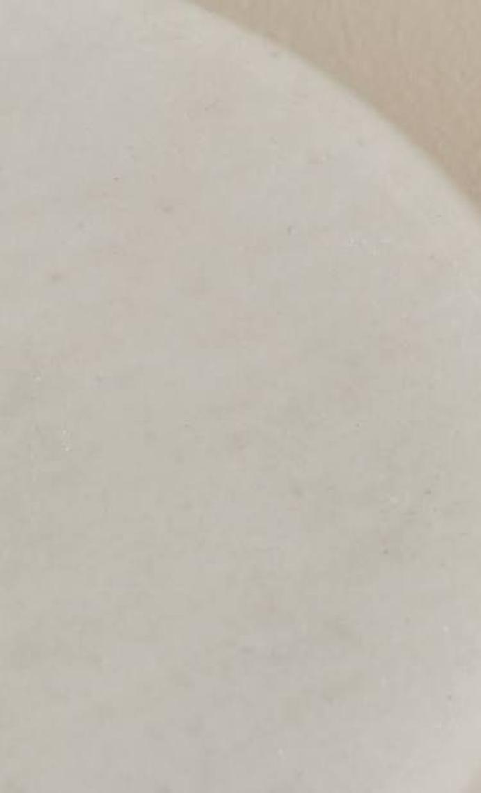 Bella Maison Olmo Doğal Mermer Kek Standı 25x25 cm - 1 Adet, Düz Desenli, Parti ve Sunum İçin İdeal