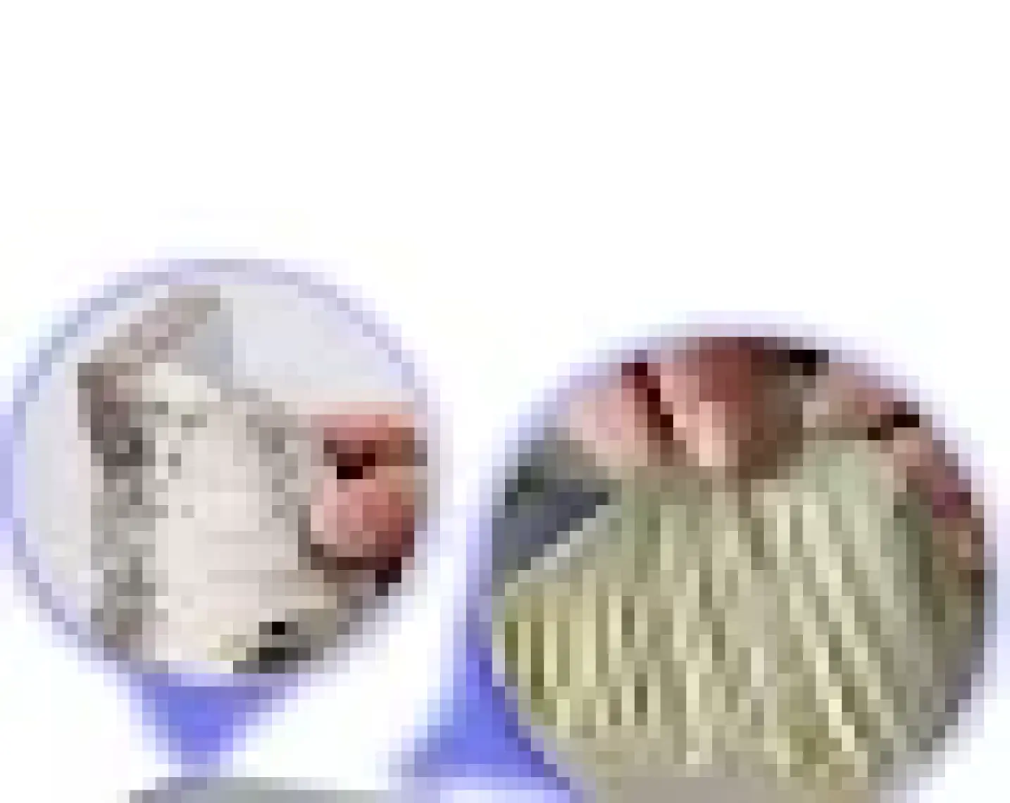 Bondit Çatı Izolasyon Ses Su Yalıtım Tamir Çamur Bandı 10 cm Metre Seç 10 Metre x 10 cm