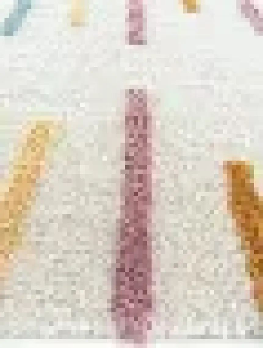 Cool Halı Cool Cotton Ccn 03 Multy Xw Makinede Yıkanabilir Kaymaz Tabanlı Naturel Pamuk Dokuma Bebek Halısı